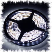 (image for) WP Bright Cool White LED Strips